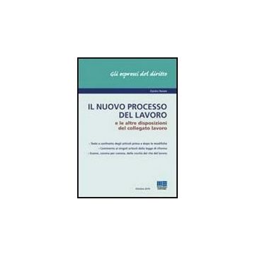 Il Nuovo Processo Del Lavoro E Le Altre Disposizioni Del Collegato Lavoro 