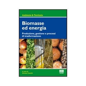 Biomasse Per La Produzione Di Energia. Produzione, Gestione E Processi Di Trasformazione