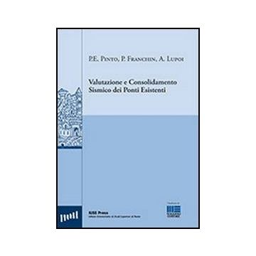 Valutazione E Consolidamento Sismico Dei Ponti Esistenti