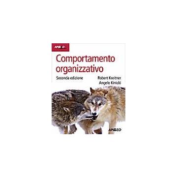 Comportamento Organizzativo
