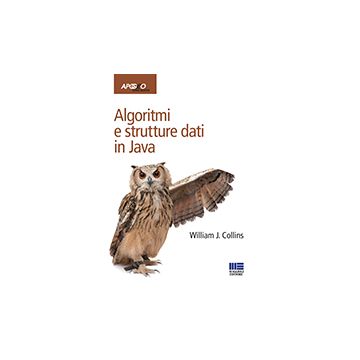 Algoritmi E Strutture Dati In Java