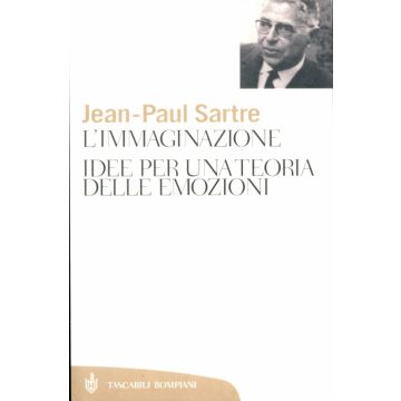 L' Immaginazione. Idee per una teoria delle emozioni