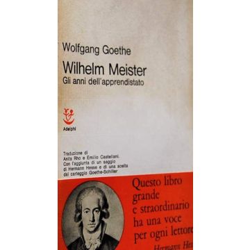 Wilhelm Meister - Gli anni dell'apprendistato