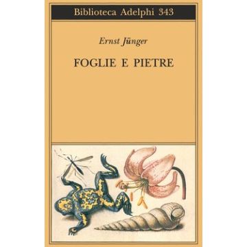 Foglie e pietre