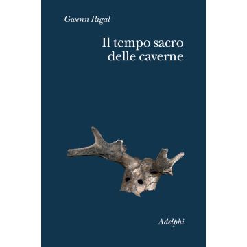 Il tempo sacro delle caverne. Da Chauvet a Lascaux, le ipotesi della scienza