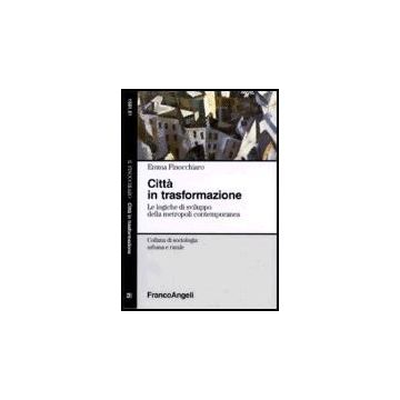 Citta' In Trasformazione. Le Logiche Di Sviluppo Della Metropoli Contemporanea - Finocchiaro Emma - Franco Angeli - 9788846414526