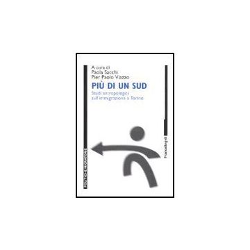 Piu' Di Un Sud. Studi Antropologici Sull'immigrazione A Torino - Sacchi; Viazzo - Franco Angeli - 9788846450906