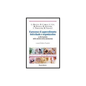 Il Processo Di Apprendimento Individuale E Organizzativo. La Formazione Nella  Societa' Della Conoscenza - Paneforte - Franco Angeli - 9788846461209