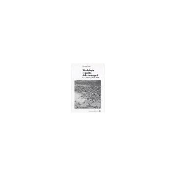 Morfologia E Qualita' Della Metropoli. Il Caso Di Chicago 1784-1910 - Denti Giovanni - Franco Angeli - 9788846461537