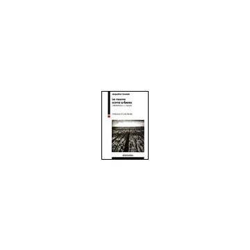 La Nuova Scena Urbana. Cittastrattismo E Urban-art  - Ceresoli Jacqueline - Franco Angeli - 9788846467577