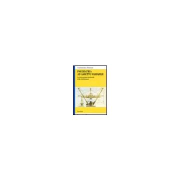 Psichiatria Ad Assetto Variabile. Le Determinanti Strutturali Della Riabilitazione - Montinari Giandomenico - Franco Angeli - 9788846468673