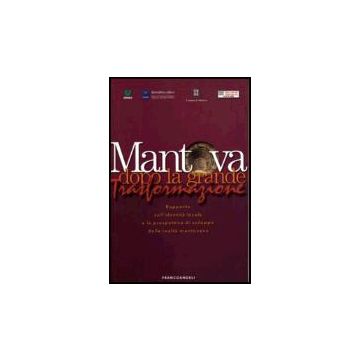 Mantova Dopo La Grande Trasformazione. Rapporto Sull'identita' Locale E La Prospettiva Di Sviluppo Della Realta' Mantovana - Censis  - Franco Angeli - 9788846472960