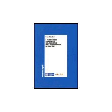 I Fabbisogni Formativi Del Turismo Nella Provincia Di Napoli  - Salmieri Luca - Franco Angeli - 9788846475855