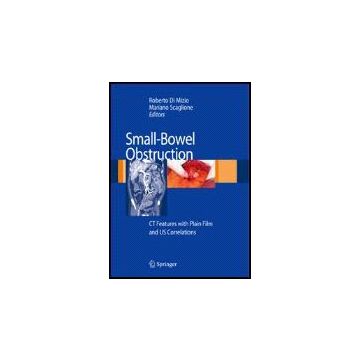 Small-bowel Obstruction: Ct Features With Plain Film And Us Correlations - Di Mizio R. ; Scaglione M.  - Springer Verlag Italia - 9788847006669