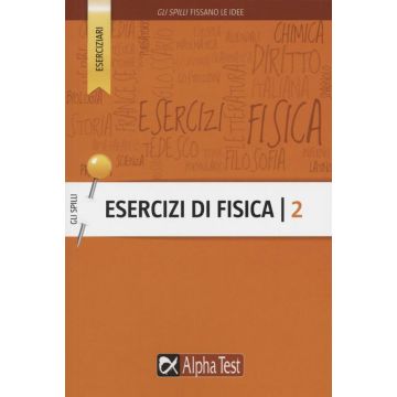 Esercizi di fisica 2 - Gli Spilli