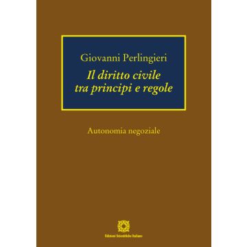Il diritto civile tra principi e regole. Autonomia negoziale