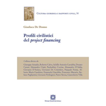Profili civilistici del project financing
