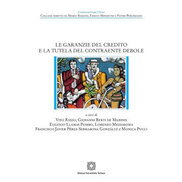 Le garanzie del credito e la tutela del contraente debole (Rizzo Vito; De Marinis Bertis Giovanni - Esi)