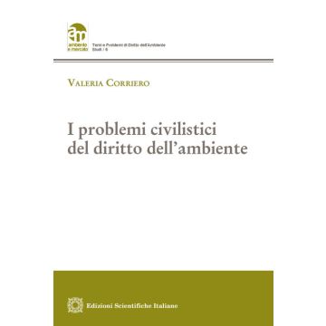 I problemi civilistici del diritto dell'ambiente