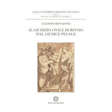 Il giudizio civile di rinvio dal giudice penale