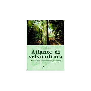 Atlante di selvicoltura. Dizionario illustrato di alberi e foreste 1/Ed. [Barnetti G. - Edagricole]