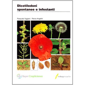 Dicotiledoni spontanee e infestanti Viggiani Angelini Edagricole