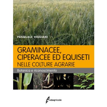Graminecee, ciperacee ed equiseti nelle colture agrarie. Botanica e riconoscimento  Viggiani Pasquale  Edagricole / Il Sole 24 Ore  9788850654390