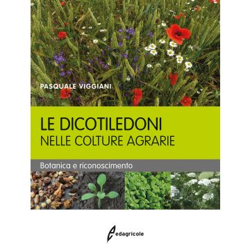 Le dicotiledoni nelle colture agrarie. Botanica e riconoscimento  Viggiani Pasquale  Edagricole / Il Sole 24 Ore  9788850654406