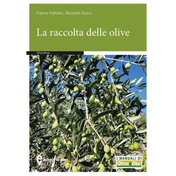 La raccolta delle olive