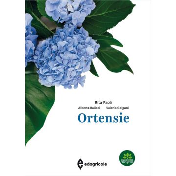 Ortensie