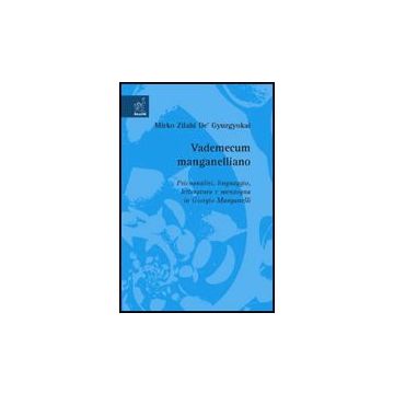 Vademecum Manganelliano. Psicoanalisi, Linguaggio, Letteratura E Menzogna In  Giorgio Manganelli - Zilahi De' Gyurgyokai Mirko - Aracne - 9788854818217