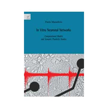 In Vitro Neuronal Networks. Computational Models And Synaptic Plasticity Studies - Massobrio Paolo - Aracne - 9788854821293