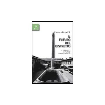 Il Futuro Del Distretto. Atteggiamenti E Strategie Degli Attori Locali  - Birindelli Pierluca - Aracne - 9788854830387