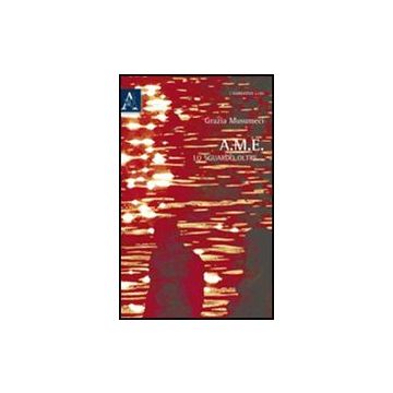 A.m.e. Lo Sguardo Oltre - Musumeci Grazia - Aracne - 9788854837591