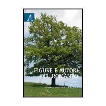Figure E Autori Del Romanzo - Casarino S. ; Raschieri A.  - Aracne - 9788854858930