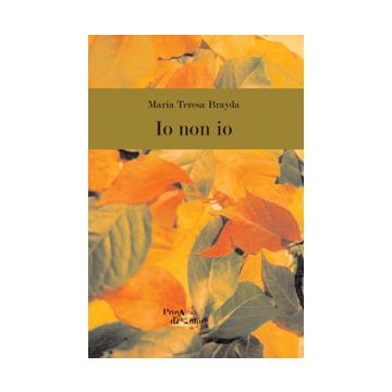 Io Non Io - Brayda M. Teresa - Aracne - 9788854866447