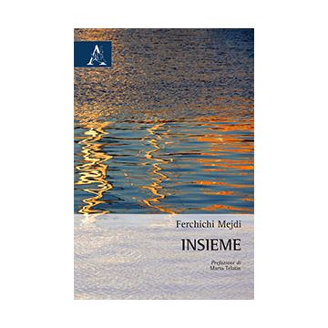 Insieme - Mejdi Ferchichi - Aracne - 9788854869370