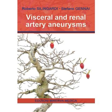 Visceral and renal artery aneurysms
