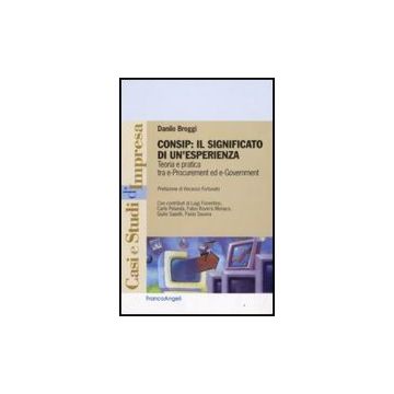 Consip: Il Significato Di Un'esperienza. Teoria E Pratica Tra E-procurement Ed E-government - Broggi Danilo - Franco Angeli - 9788856802511