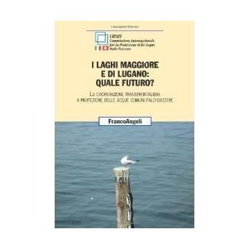 I Laghi Maggiore E Di Lugano: Quale Futuro? La Cooperazione Transfrontaliera A  Protezione Delle Acque Comuni Italo-svizzere - Cipais  - Franco Angeli - 9788856812701