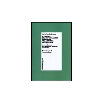 Economia Dell'informazione Energetica Nella Societa' Capitalistica. La Rendita Solare Dell'ambiente Naturale E Costruito - Granata M. Fiorella - Franco Angeli - 9788856825749