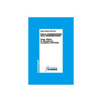 Dalla Cogenerazine Alla Trigenerazione. Come Ridurre La Dipendenza Energetica De Collezione