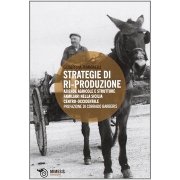 Strategie di ri-produzione. Aziende agricole e strutture familiari nella Sicilia centro-occidentale