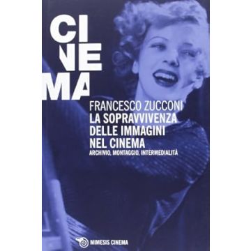 La sopravvivenza delle immagini nel cinema. Archivio, montaggio, intermedialità