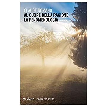 Al cuore della ragione, la fenomenologia