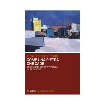 Come una pietra che cade. Esercizi di sopravvivenza in provincia
