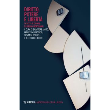 Diritto, potere e libertà. Scritti in onore di Bruno Montanari
