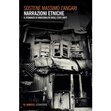 Narrazioni etniche. Il romanzo di marginalità negli Stati Uniti