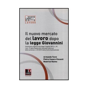 Il Nuovo Mercato Del Lavoro Dopo La Legge Giovannini  - Tursi Armando; Vincenti Pietro C.; Raimo Beatrice - Dike Giuridica Editrice - 9788858202838