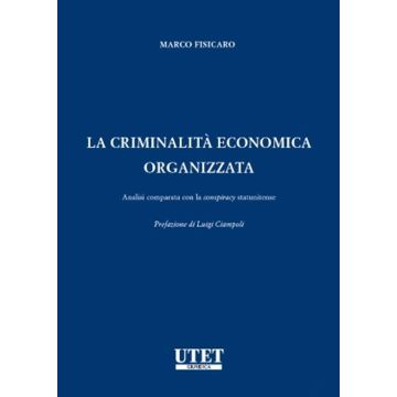 La criminalità economica organizzata [Fisicaro - Utet]